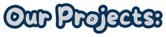 Our Projects