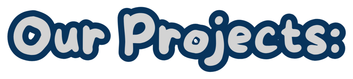 Our Projects